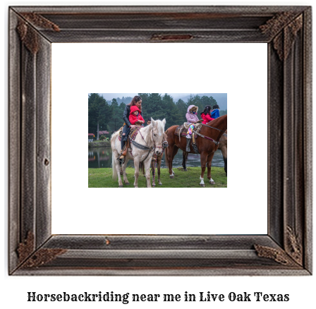 horseback riding near me in Live Oak, Texas